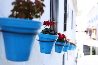 Malaga İspanya kıyılarında güzel izlenimler