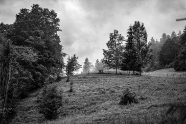 Fuessen şelalesi ve manzara Almanya