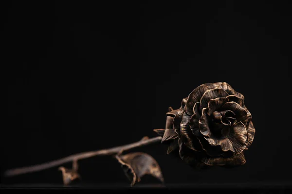 Bloom ve bronz renk metalden yapılmış bir SAP Rose'la yatıyor siyah renkli bir yüzeye