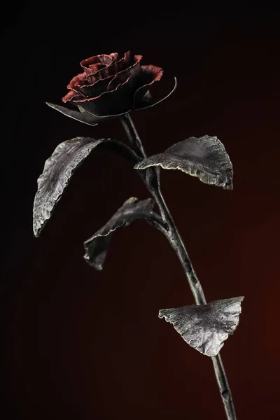Rosa Fina Com Uma Flor Vermelha Luz Fundo Vermelho Escuro — Fotografia de Stock