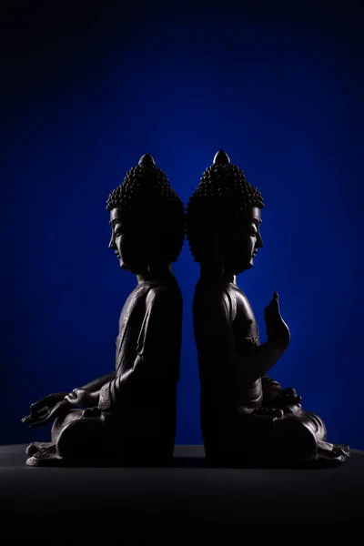 Two Buddha Shakyamuni Figure Meditation Pose Vitarka Mudra Old Statue — Stok fotoğraf