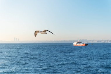 Boğaz 'da yalnız bir feribotun arka planındaki Seagul sinekleri.