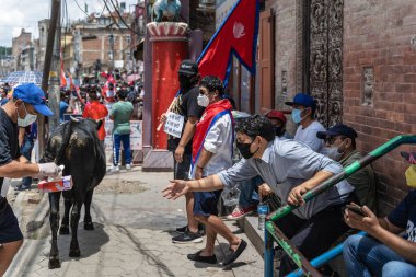 14 Haziran 2020, Katmandu, Nepal. Hükümet karşıtı yolsuzluğa karşı protestolar ve Nepal 'de Coronavirus' a karşı etkisiz mücadele sırasında önlem almak için tek kullanımlık eldivenler getiren bir adam.