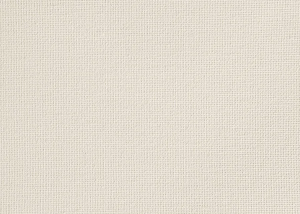 米色浅白防腐霜色彩画用帆布面料质感背景 — 图库照片