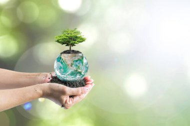 Yeşil küreye ağaç dikme ile dünya toprak günü konsepti: Bu görüntünün elementleri NASA tarafından desteklenmektedir