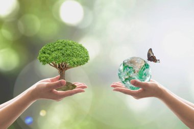 Reforestation, sustainable world forest, and tree care day concept: Elements of this image furnished by NAS clipart