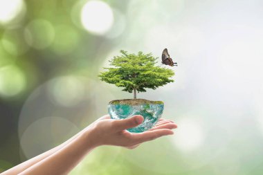 Ağaç dikme günü için yeşil küreye ağaç dikme, dünya çevre koruma ve CSR konsepti: NASA tarafından desteklenen bu görüntünün elementleri