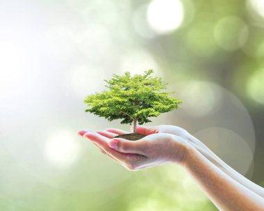 Sürdürülebilir çevre, çevreci orman ekosistemini korumak, ve gönüllülerin ellerine ağaç dikme konusunda yeşil konsept oluşturmak