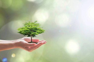 Ağaç dikmeye gönüllü olan ağaç dikme günü yeşil çevre ve doğal koruma kavramını korumak için.