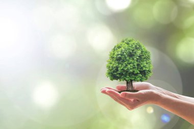 Sürdürülebilir çevre, çevreci orman ekosistemini korumak, ve gönüllülerin ellerine ağaç dikme konusunda yeşil konsept oluşturmak