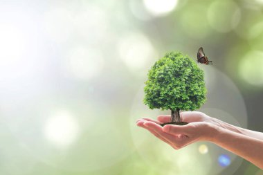 Gönüllülerin eline ağaç dikme ile çevre ve ekosistem koruma kavramı