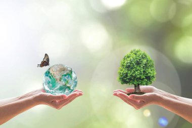 Sürdürülebilir çevre ve enerji tasarrufu kavramı. Gönüllülerin eline yeşil toprak ve ağaç dikmek. Görüntünün elementi NASA tarafından sağlandı
