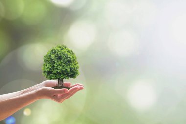 Sürdürülebilir çevre, çevreci orman ekosistemini korumak, ve gönüllülerin ellerine ağaç dikme konusunda yeşil konsept oluşturmak