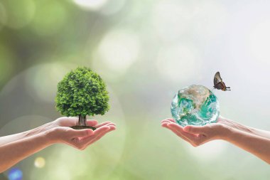 Yeşil Dünya ve Yaşam Ağacı, sürdürülebilir ekoloji kavramı için gönüllü olarak temiz bir ortamda yetişiyor. NASA tarafından desteklenen bu görüntünün ögesi
