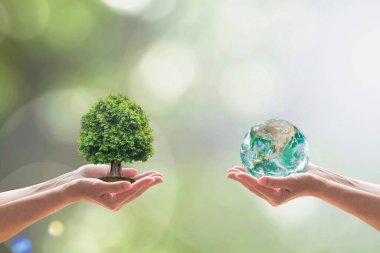 Dünya Çevre Günü ve doğadaki biyolojik çeşitlilik gönüllülerin elinde ağaçla birlikte. Görüntünün elementi NASA tarafından sağlandı
