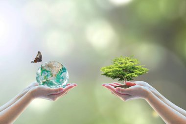 Dünya Çevre Günü ve gönüllülerin eline ağaç dikme konusunda CSR konseptiyle yeşile dönüyorsun. Görüntünün elementi NASA tarafından sağlandı 