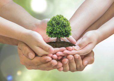 Dünya Çevre Günü ve babada sürdürülebilir çevre kavramı - çocuk gönüllü elleri