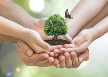 Dünya Çevre Günü ve babada sürdürülebilir çevre kavramı - çocuk gönüllü elleri