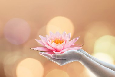 Vesak günü, Budist ödünç günü, Buda 'nın doğum günü kavramı kadınların elinde nilüfer çiçeği ya da nilüfer çiçeği tutan. 