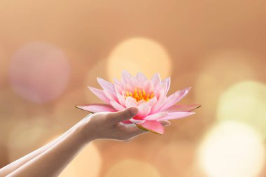 Vesak günü, Budist ödünç günü, Buda 'nın doğum günü kavramı kadınların elinde nilüfer çiçeği ya da nilüfer çiçeği tutan. 