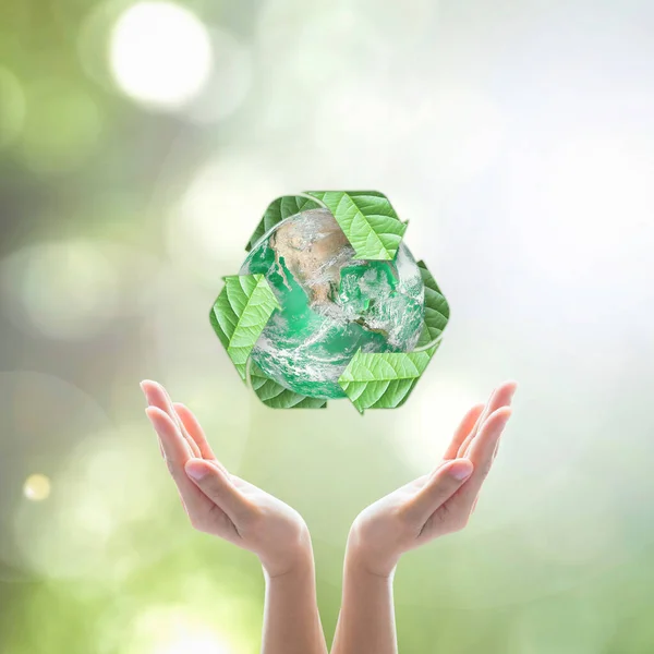 World Environment Day Ecology Concept Woman Human Hands Green Planet — Stock Photo, Image