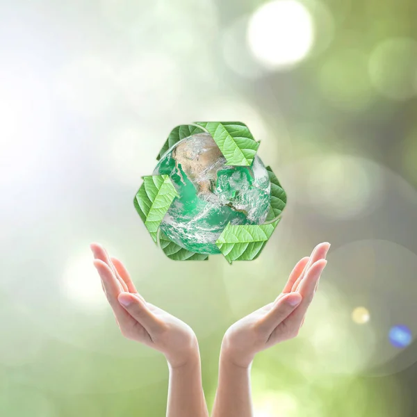 World Environment Day Ecology Concept Woman Human Hands Green Planet — Stock Photo, Image