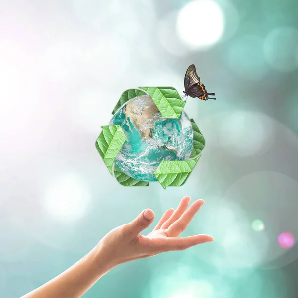 Gestão Reciclagem Resíduos Conceito Ecológico Com Mãos Elementos Desta Imagem — Fotografia de Stock