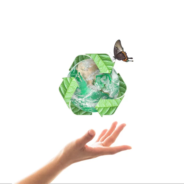 Gestão Reciclagem Resíduos Conceito Ecológico Com Mãos Isoladas Branco Elementos — Fotografia de Stock