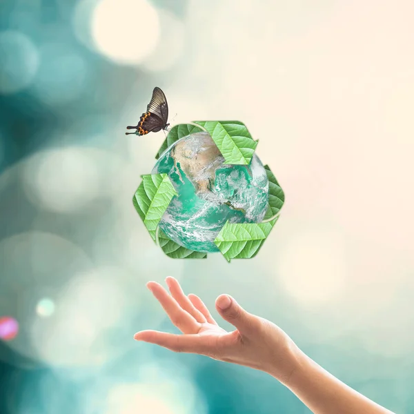 Waste Recycle Management Eco Friendly Concept Hands Elements Image Furnished — Stock Photo, Image