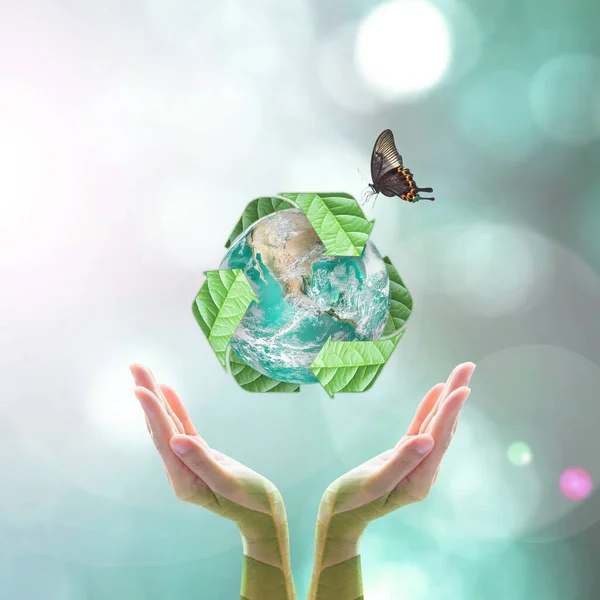 Waste Recycle Management Eco Friendly Green Ecology Concept Woman Hand — Stock Photo, Image