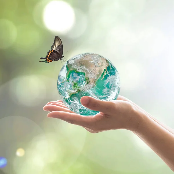 Världsmiljödag Och Miljövänligt Koncept Med Grön Jord Volontärens Händer Bildelement — Stockfoto