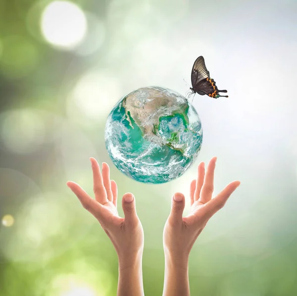 Światowy Dzień Środowiska Zrównoważona Ekologia Przyjazna Dla Środowiska Koncepcja Zieloną — Zdjęcie stockowe