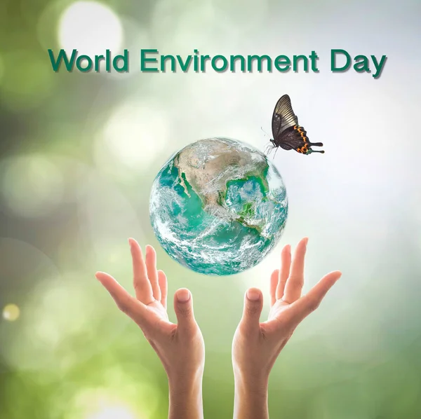 World environment day, sustainable ecology and environmental friendly concept with green earth planet on volunteer's woman hands. Element of  image furnished by NASA