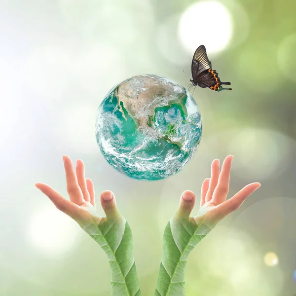 Światowy Dzień Środowiska Ekologiczna Koncepcja Zieloną Planetą Rękach Liśćmi Drzew — Zdjęcie stockowe