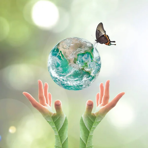 Światowy Dzień Środowiska Ekologiczna Koncepcja Zieloną Planetą Rękach Liśćmi Drzew — Zdjęcie stockowe