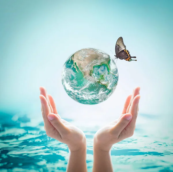 Weltmeertag Wassersparen Umweltschutz Nachhaltiges Ökologisches Ökosystemkonzept Mit Grüner Erde Auf — Stockfoto