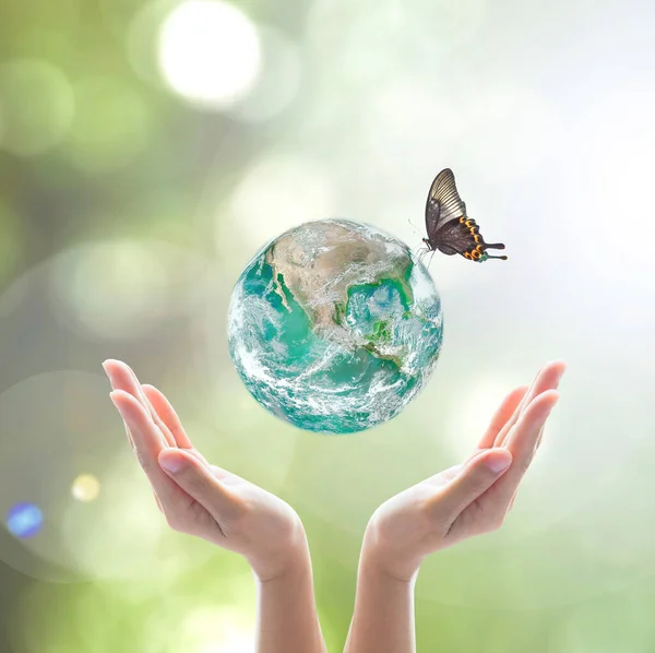 Världsmiljö Dag Och Ekologisk Vänlig Koncept Med Grön Planet Händer — Stockfoto