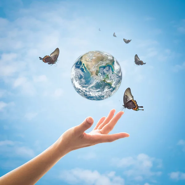 World environment day, ecology and ozone layer protection concept with woman's hand supporting earth planet under sun light flare with beautiful butterfly: Elements of this image furnished by NASA