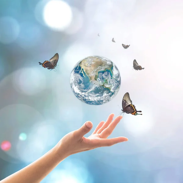 Światowy Dzień Środowiska Ekologia Ochrona Warstwy Ozonowej Kobiecą Ręką Wspierającą — Zdjęcie stockowe