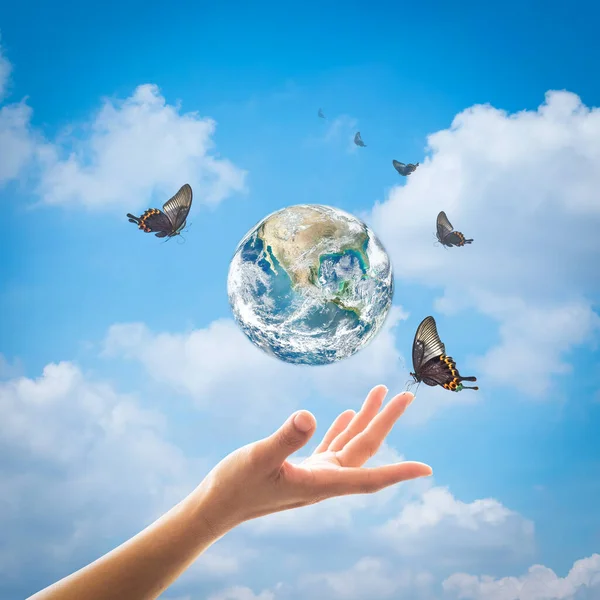 Всесвітній День Довкілля Екологія Озоновий Шар Концепції Жіночою Рукою Підтримувати — стокове фото