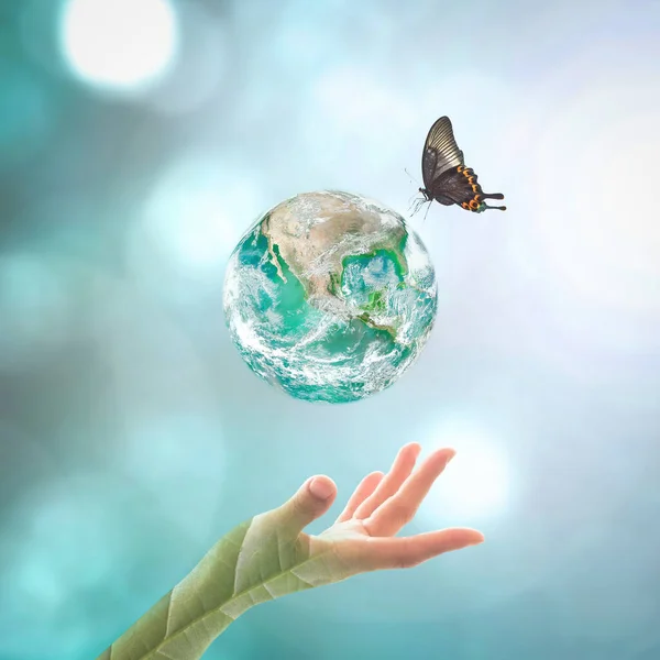 带蝴蝶的绿色地球日和绿色概念 Nas提供的图像元素 — 图库照片