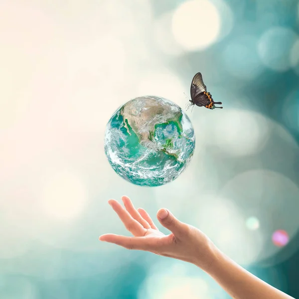 Зелена Планета Метеликом Міжнародний День Збереження Озонового Шару Переходу Зелену — стокове фото
