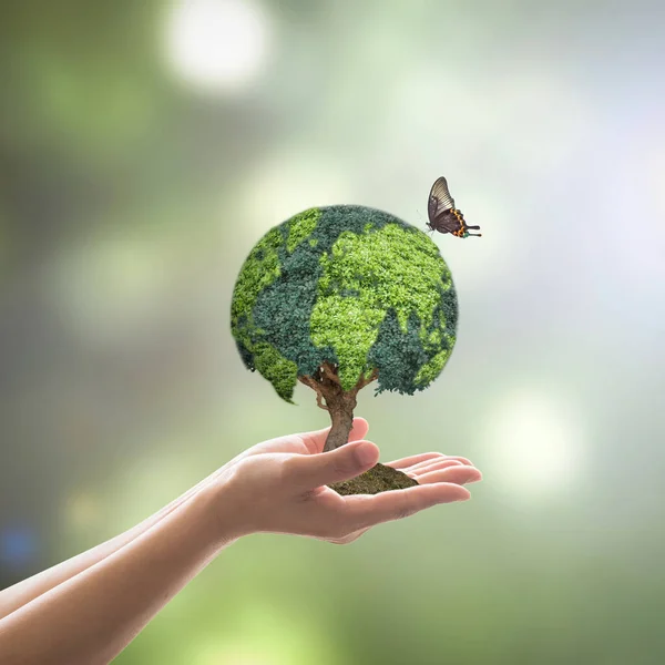 ボランティアの手による持続可能な環境保全とCsrコンセプトの自然保護のための緑の地球木 — ストック写真
