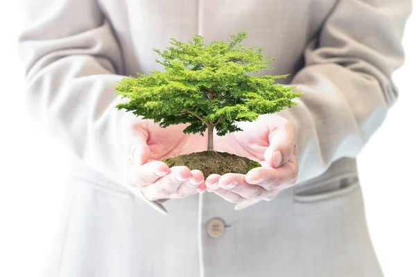 Βιώσιμες Οικολογικές Επενδύσεις Στην Προστασία Του Περιβάλλοντος Και Την Εταιρική — Φωτογραφία Αρχείου