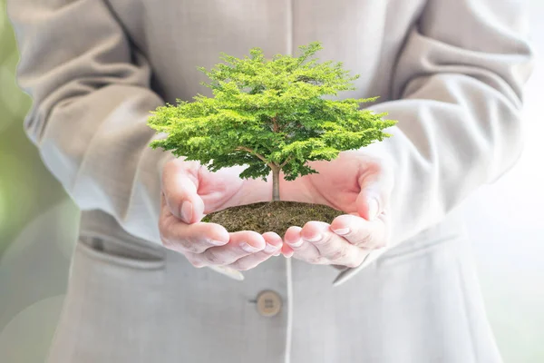 Βιώσιμες Οικολογικές Επιχειρηματικές Επενδύσεις Έννοια Στην Προστασία Του Περιβάλλοντος Και — Φωτογραφία Αρχείου