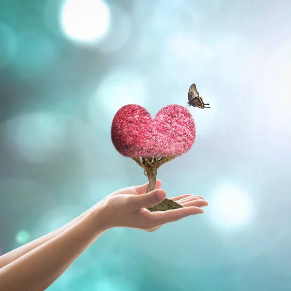 Harmony Living Environment Ecological Friendly Concept Red Heart Tree Butterfly — Stock Photo, Image