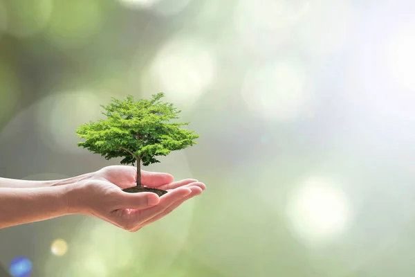 緑の環境と自然保護の概念を保存するための植樹ボランティアとアーバーの日 — ストック写真