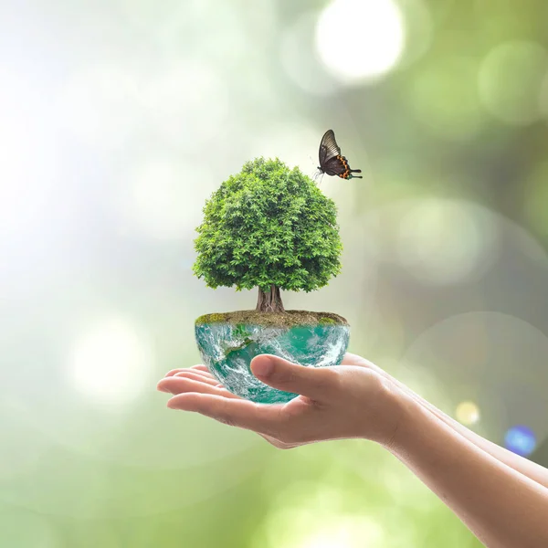 Saving Environment Natural Conservation Concept Tree Planing Green Globe Earth — Stock Photo, Image