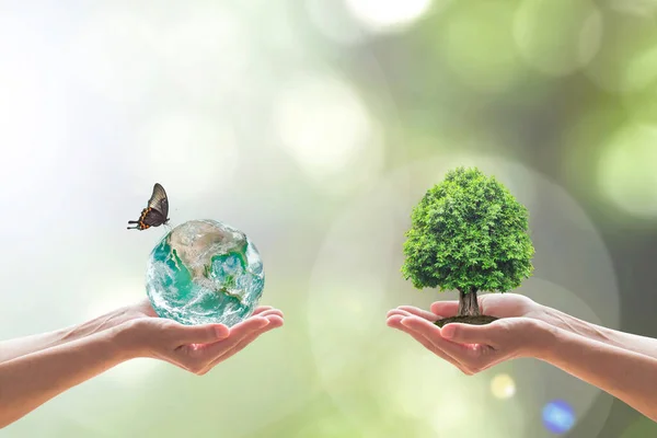持続可能な環境とボランティアの手の上に緑の地球と木の植栽と省エネの概念 Nasaによって提供された画像の要素 — ストック写真