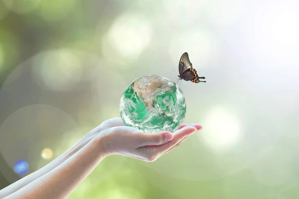 Världsmiljödag Och Miljövänligt Koncept Med Grön Jord Volontärens Händer Bildelement — Stockfoto